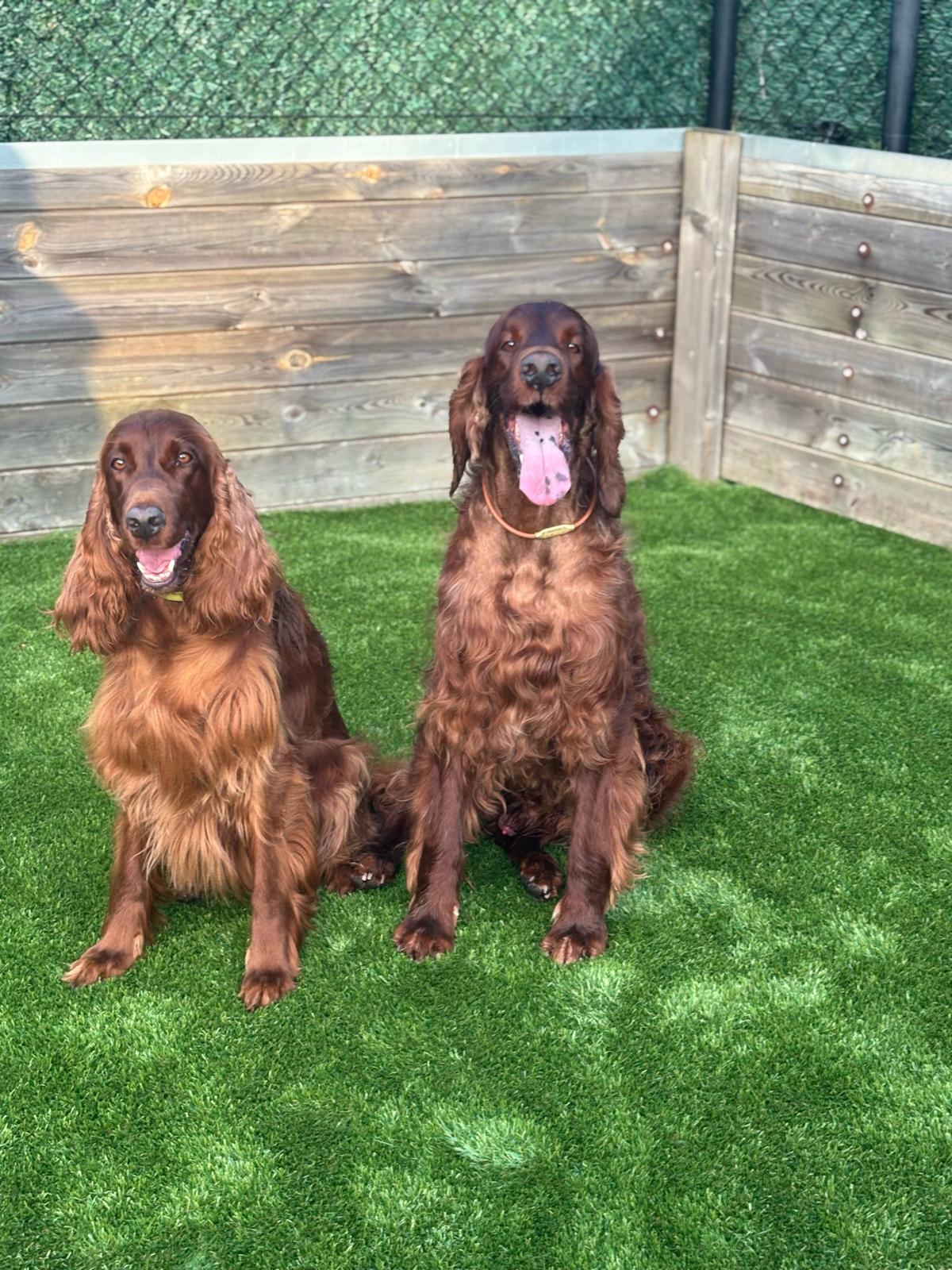 Wurferwartung – Mitte November